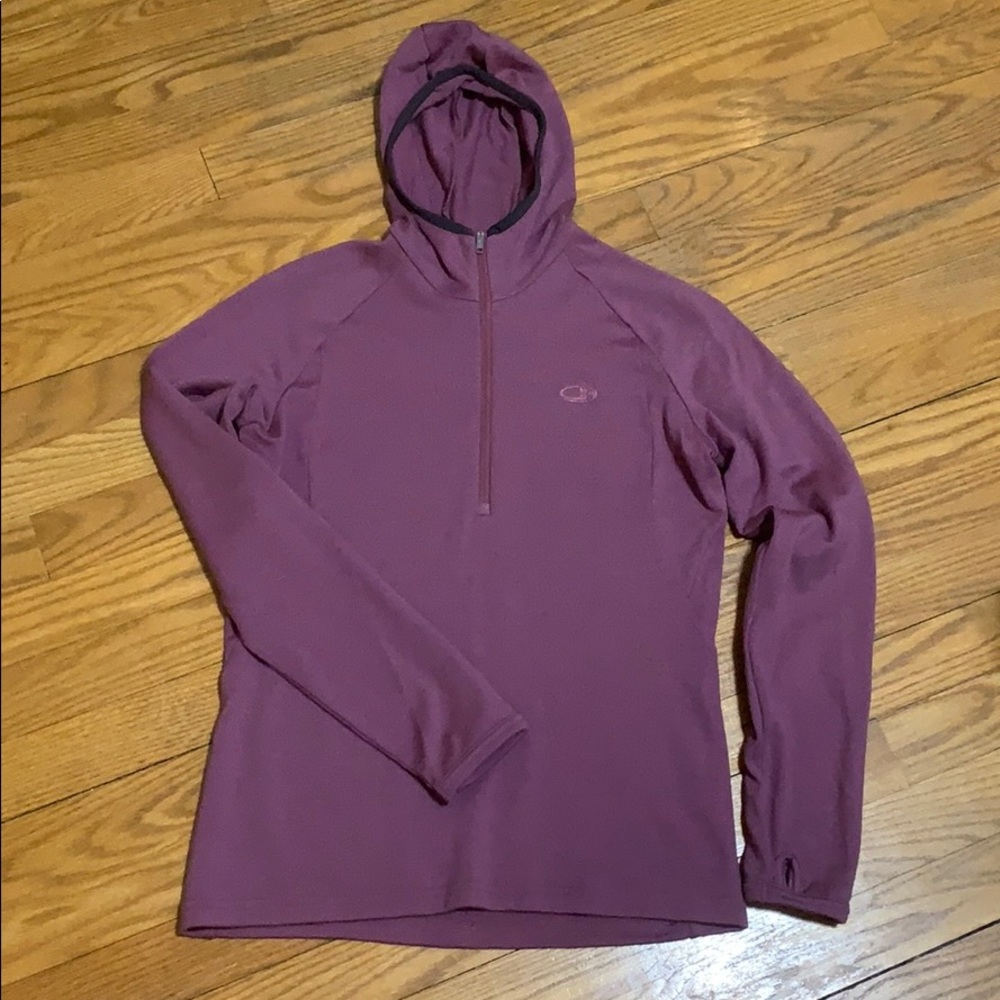 Icebreaker women’s 320 sport hoodie